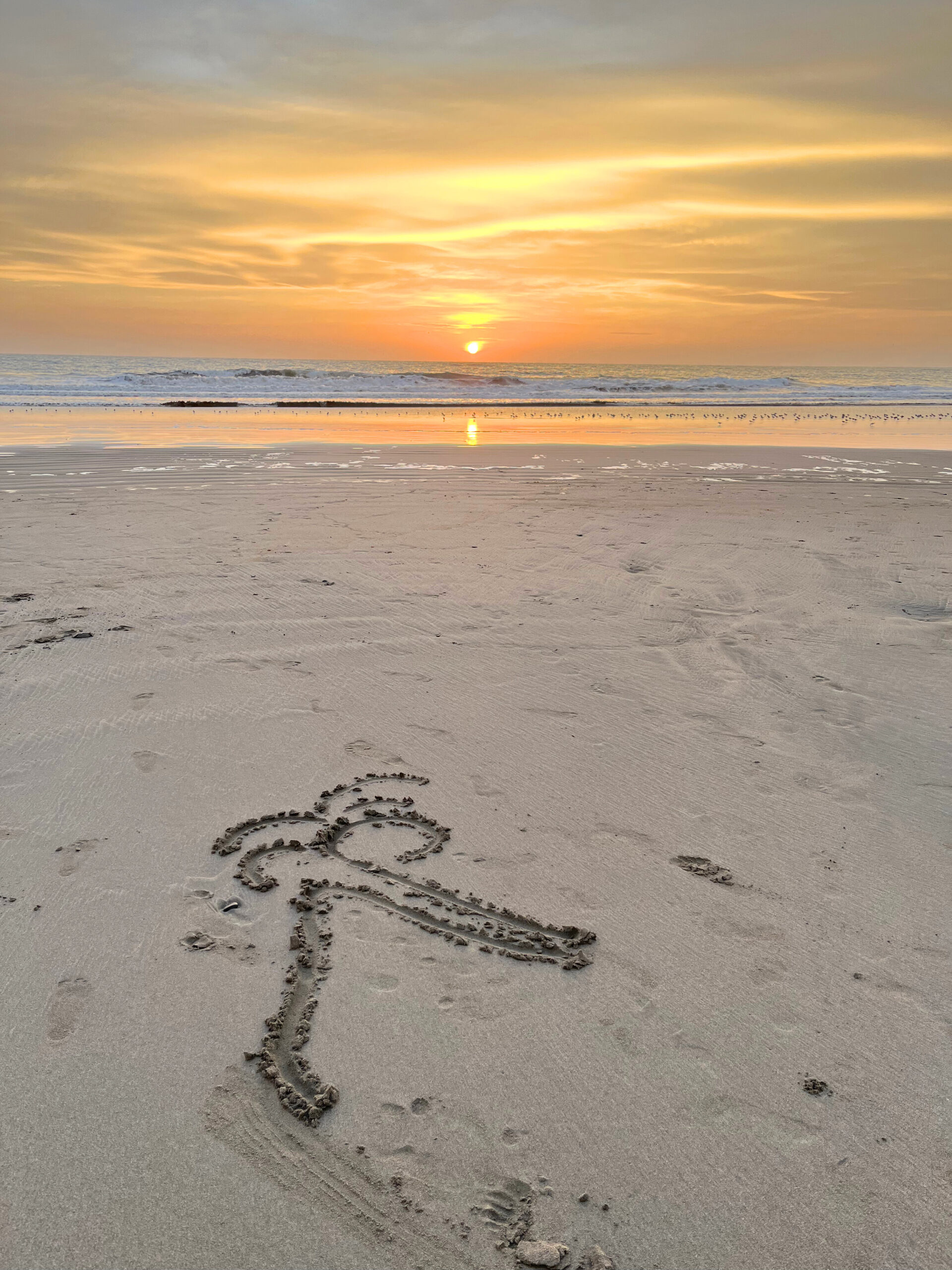 playa-altaplaya